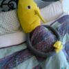 Producto 2